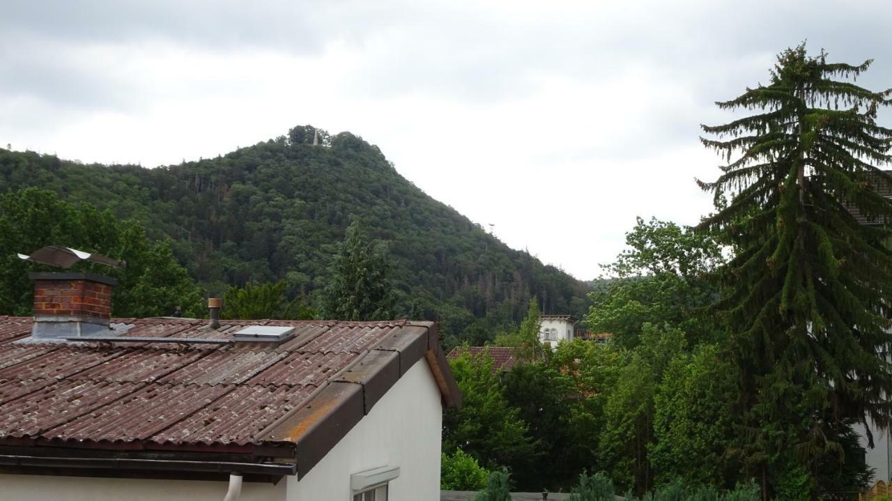 Ferienwohnung Loma Bad Harzburg Eksteriør billede